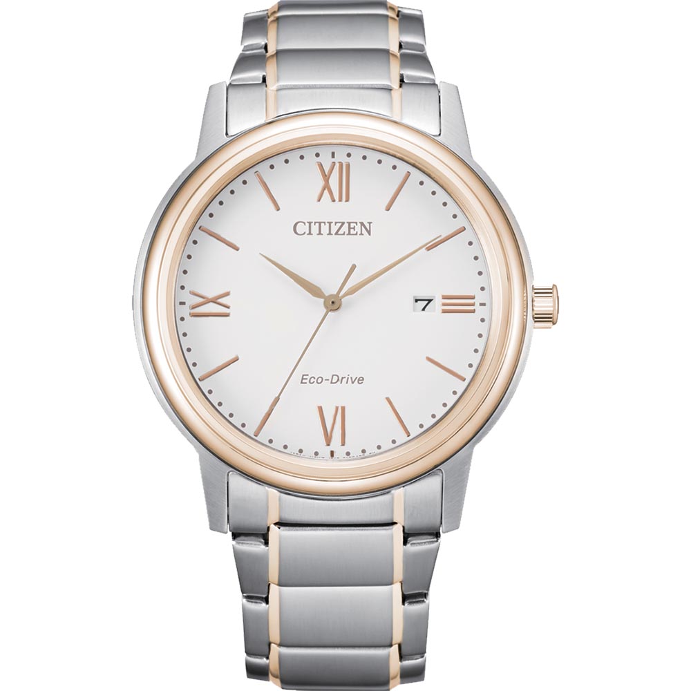 Citizen Eco Drive AW1676-86A Two Tone Womens Watch (30262165 ...